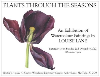 plants-through-the-seasons-invite