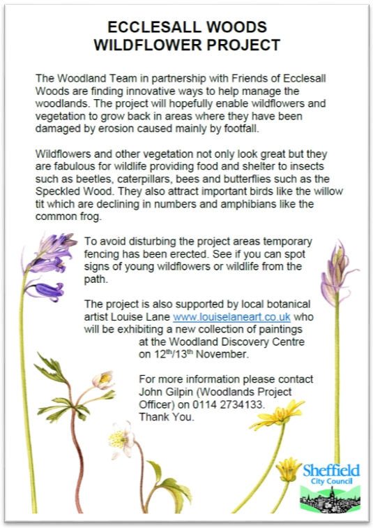 woodland-project-poster